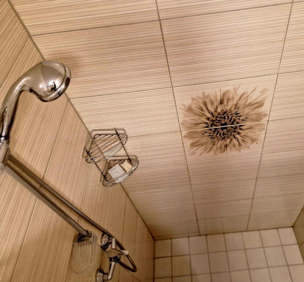 Linos Apartamentai Druskininkai Dış mekan fotoğraf